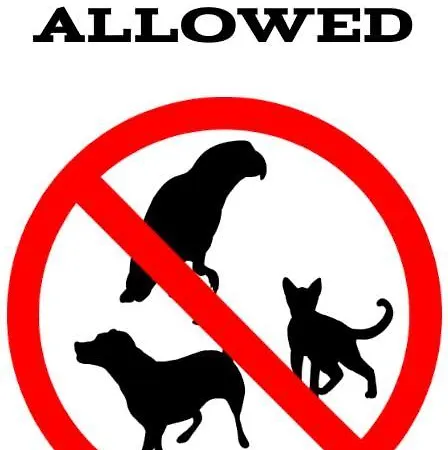 - Baltic Loft 公寓 *